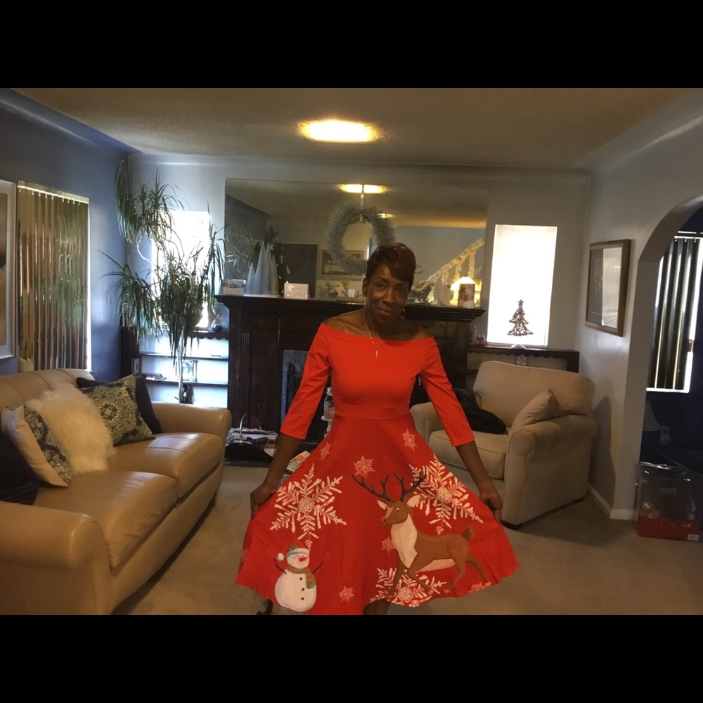 Festive Holiday Dress